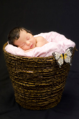 newborn in a basket