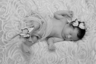 angelic newborn girl