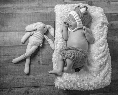 Baby Boy as the Fox chasing the Rabbit